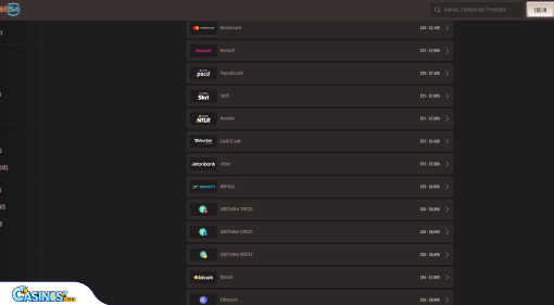 Neon54 Casino Payment Methods